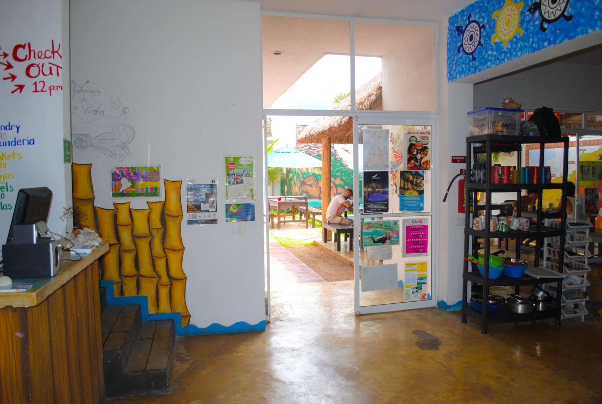 Hostal Vive La Vida Playa del Carmen Eksteriør bilde