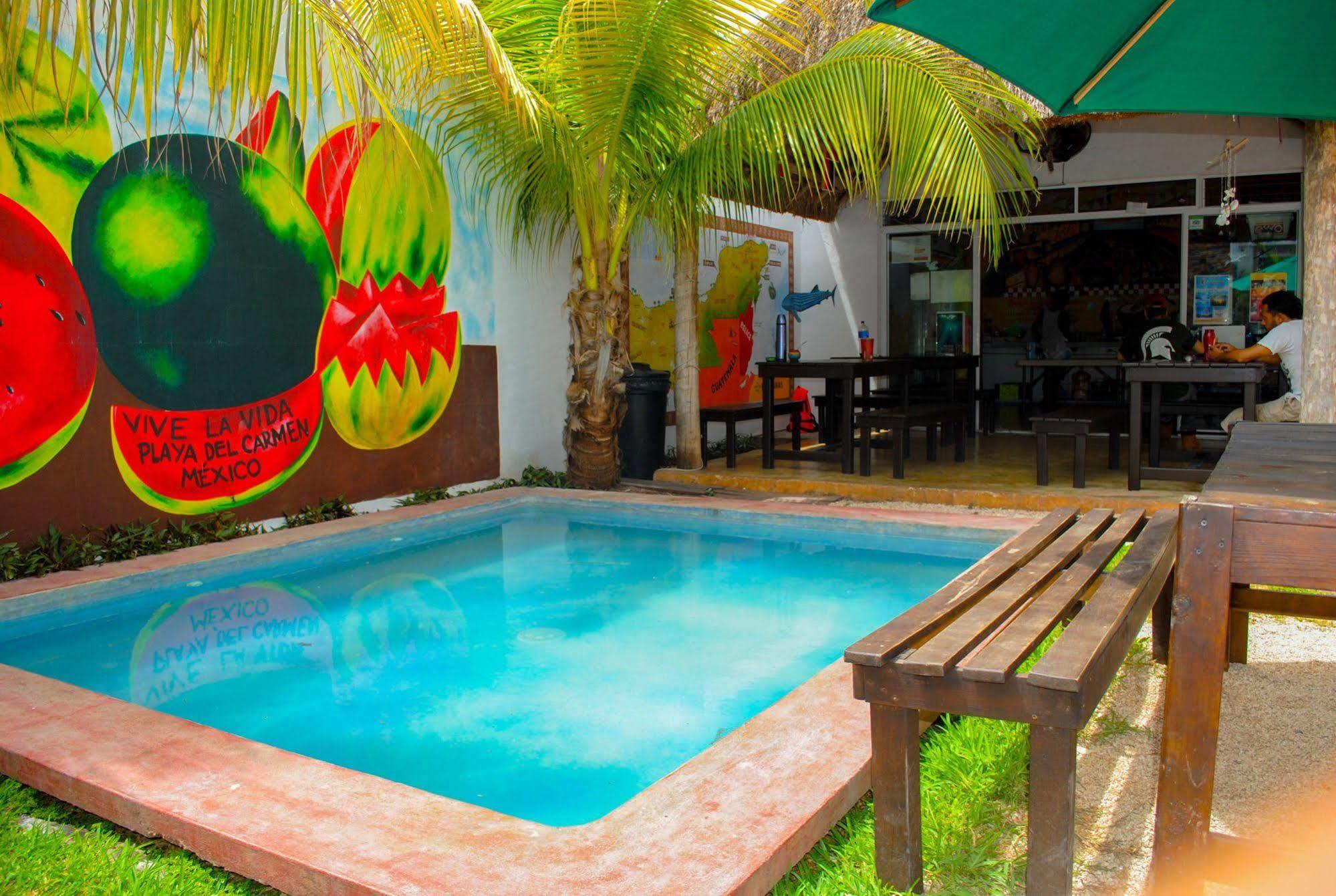 Hostal Vive La Vida Playa del Carmen Eksteriør bilde