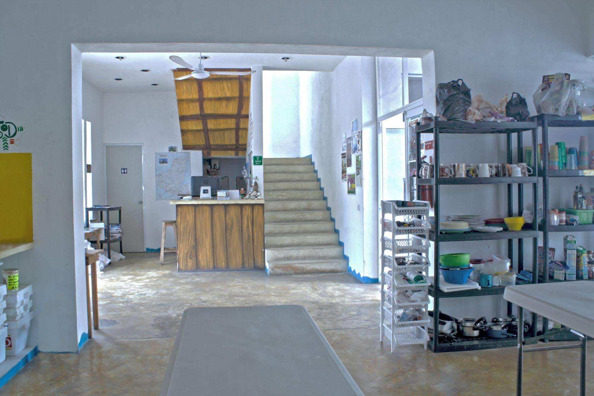 Hostal Vive La Vida Playa del Carmen Eksteriør bilde