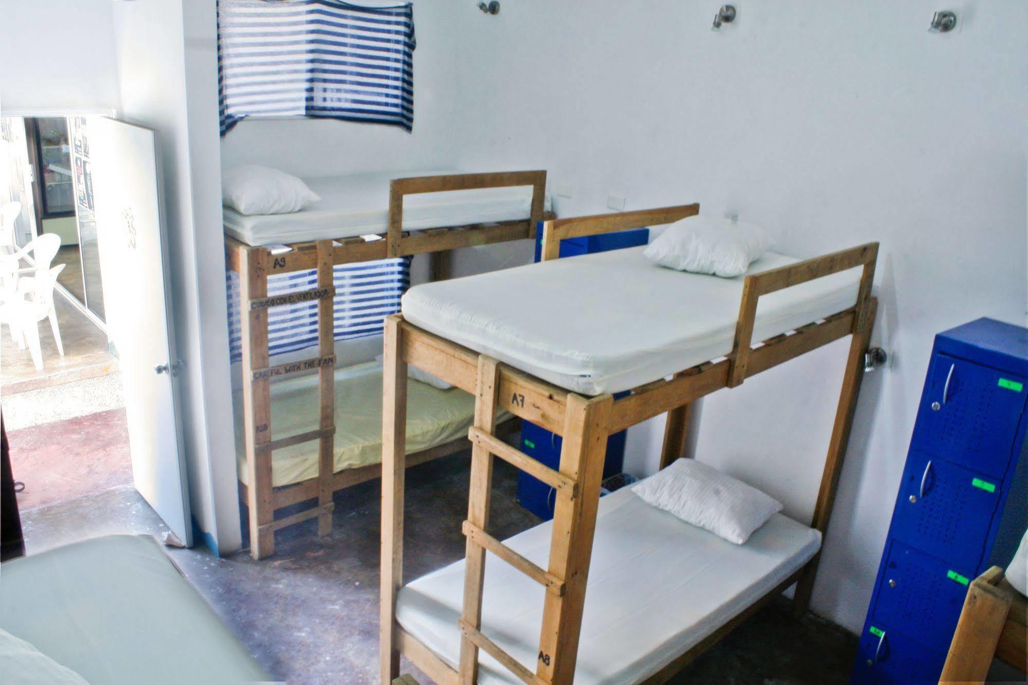 Hostal Vive La Vida Playa del Carmen Eksteriør bilde